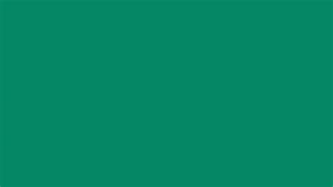city of middletown, ny building department phone number|Building & Zoning Department – Town of Middletown .